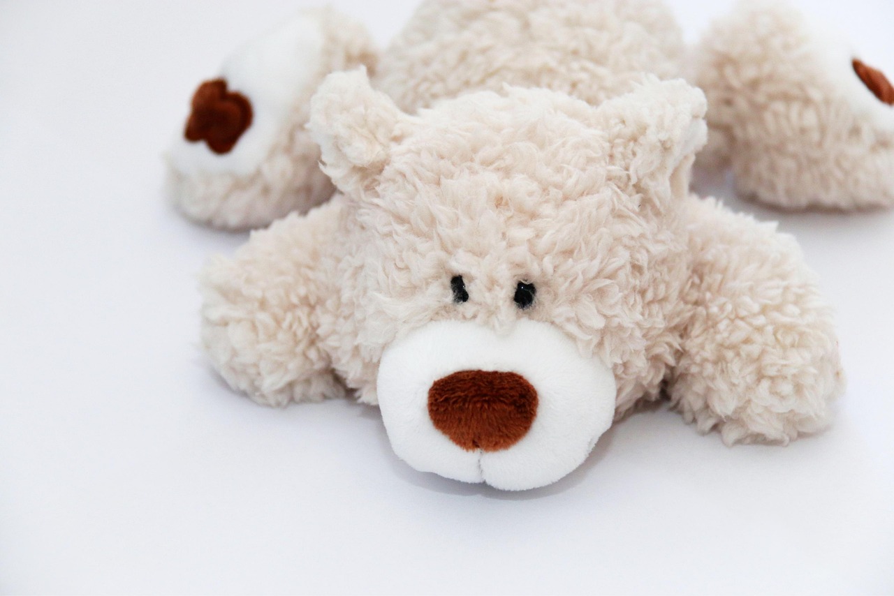 teddy, cuddly toy, stuffed animal, white, brown, cuddle, toy, children, cute, stuffed animal, toy, toy, toy, toy, toy, designer toys