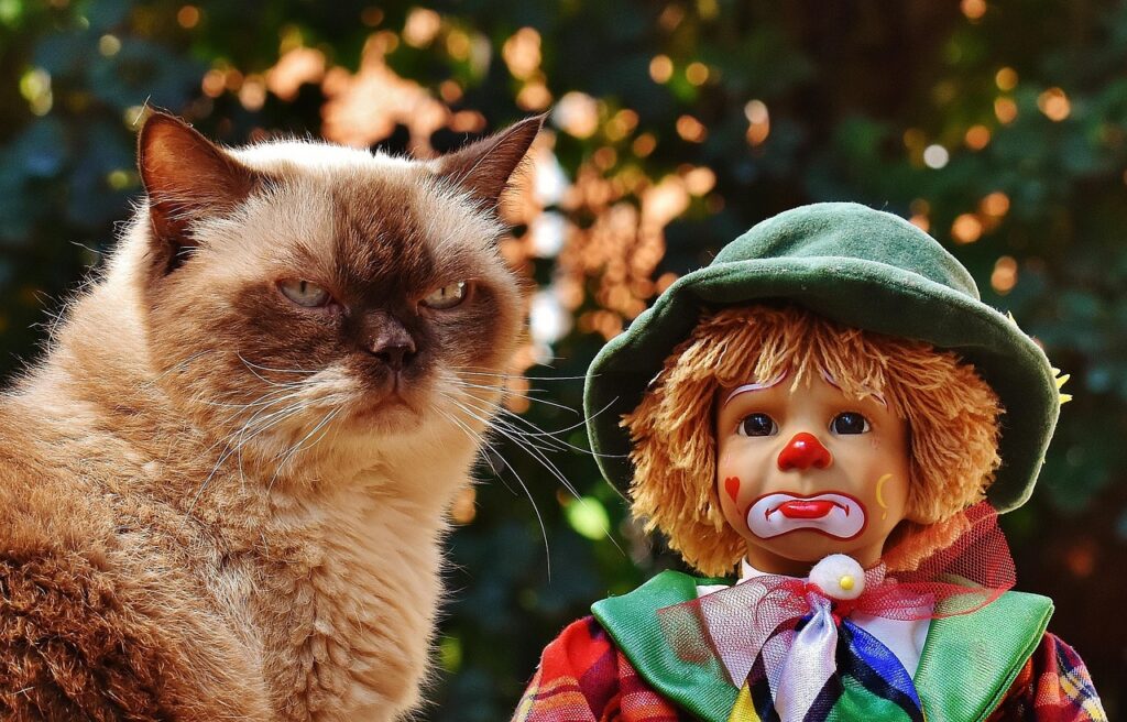 Puppet of a sad clown and a multicoloured British Shorthair cat — cute, funny, and playful cool toys for children and pets.