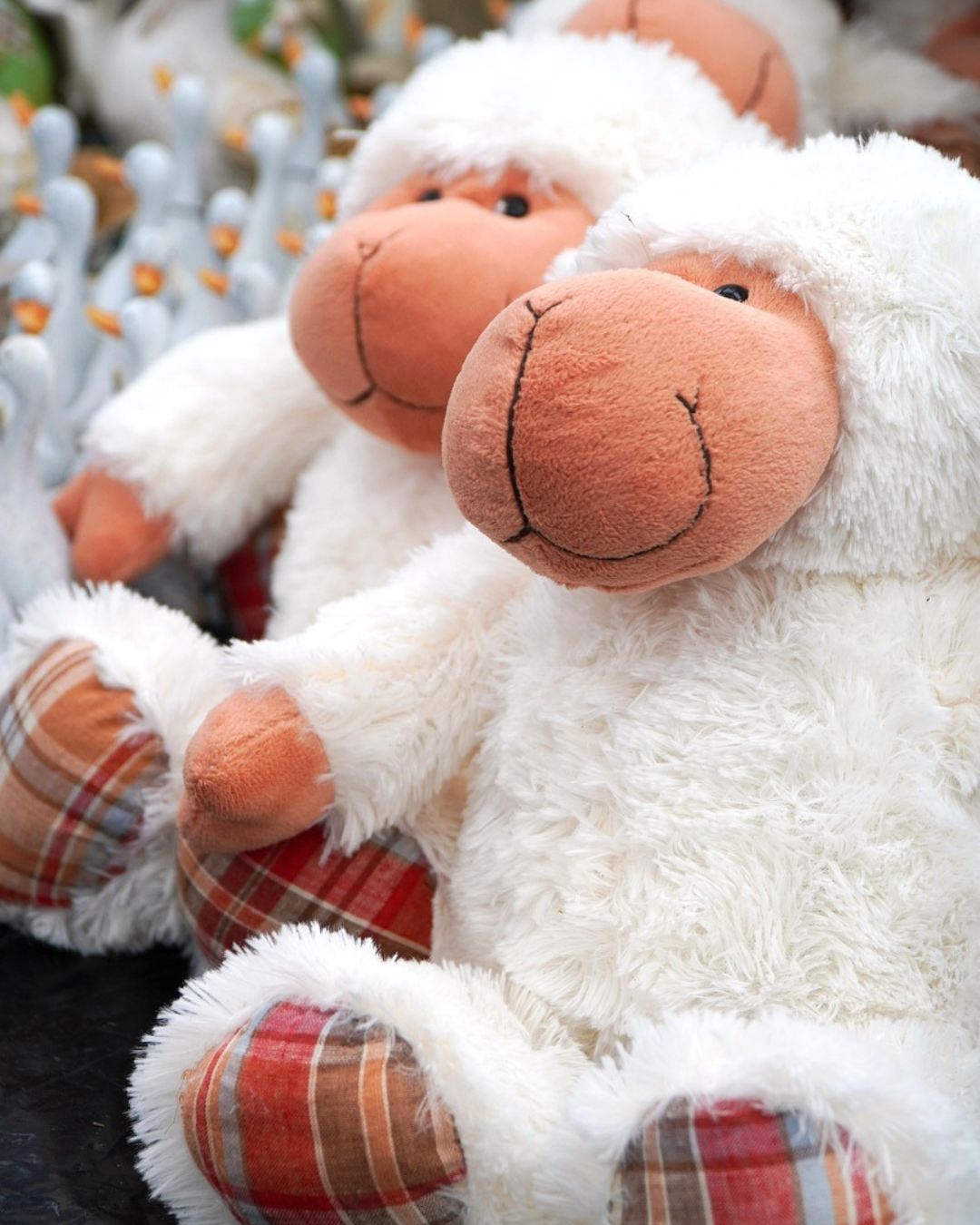 “Soft and cuddly teddy Plushy toy perfect for kids.”